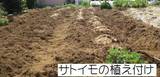 ’11.3.23サトイモの植え付け.jpg