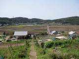 上井牟田熊野神ミから見た景色.jpg