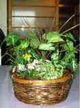 20051116951eab59.jpg