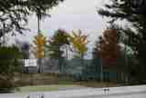 2005112608095ad9.jpg