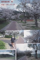 2007.4.4諫早競技場 桜.jpg