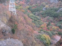 '18.11.21G寒霞渓−8.JPG