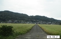 '19.10.7森山地区の田んぼ.JPG