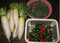 ’11.11.23野菜収穫.jpg