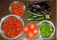’11.7.29野菜収穫.jpg