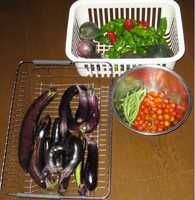 ’11.8.31収穫野菜.jpg