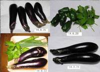 ’14.8.20〜8.24野菜収穫.jpg