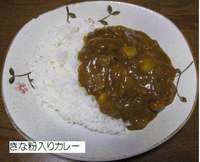 きな粉入りカレー.jpg