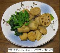 サトイモ、レンコン、コマツナの煮もの.jpg