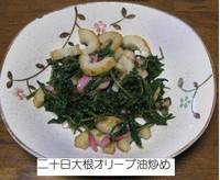 二十日大根オリーブ油炒め.jpg