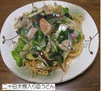 二十日大根入り皿うどん.jpg