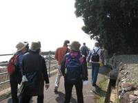 大崎半島ウォーキングB.jpg