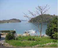 大崎半島ウォーキングJ.jpg