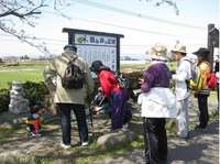 大村市福重郡川沿いの桜並木A.jpg