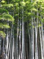 森山町上井牟田ウォークF.jpg