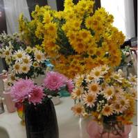 菊の花11/12.jpg
