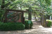 野岳湖自然公園@.jpg