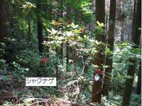 野岳湖自然公園E.jpg