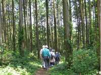 野岳湖自然公園H.jpg