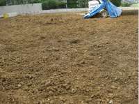 隣接地工事6日目@.jpg